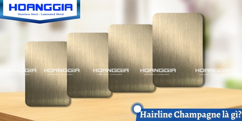 Giới thiệu Hairline Champagne